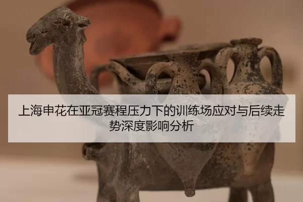 上海申花在亚冠赛程压力下的训练场应对与后续走势深度影响分析