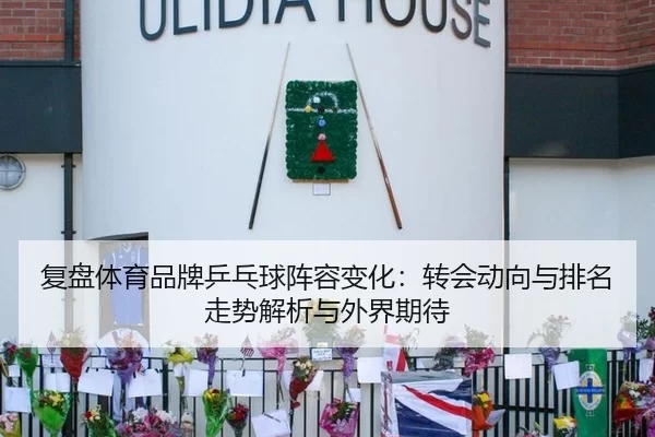 复盘体育品牌乒乓球阵容变化：转会动向与排名走势解析与外界期待